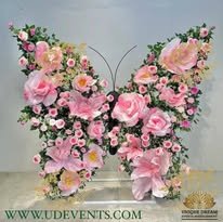 468787488_17861705634282797_3694983519657542010_n